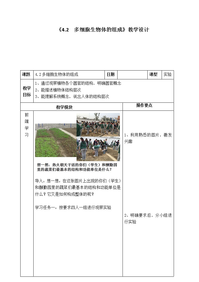 苏教版七年级生物上册 第四章 第二节 多细胞生物体的组成(1)（教案）01