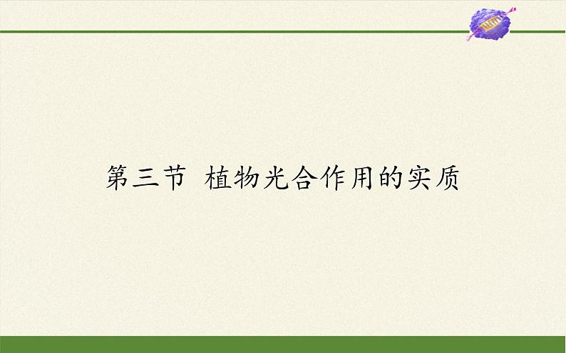 苏教版七年级生物上册 第六章 第三节  植物光合作用的实质（课件）01