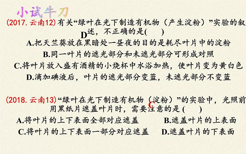 苏教版七年级生物上册 第六章 第三节  植物光合作用的实质（课件）07