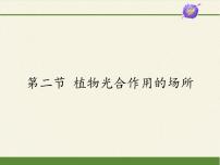 初中生物苏教版七年级上册第二节 植物光合作用的场所课文配套ppt课件