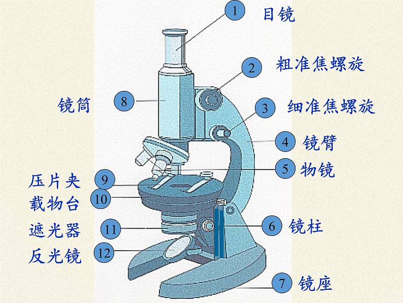 苏教版七年级生物上册 第二章 第一节  探索生命的器具（课件）第3页