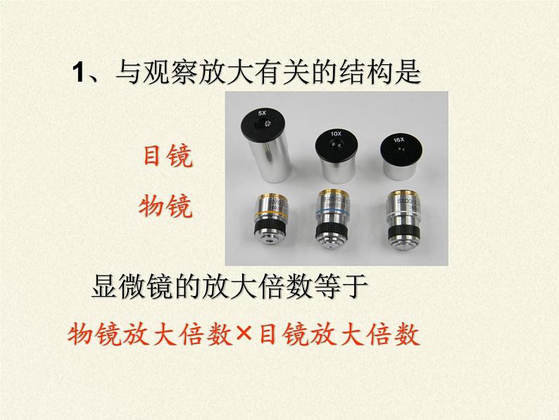 苏教版七年级生物上册 第二章 第一节  探索生命的器具（课件）第4页