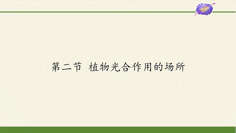 苏教版七年级生物上册 第六章 第二节  植物光合作用的场所（课件）第1页