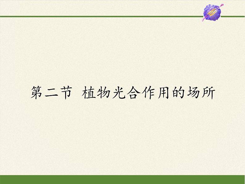 苏教版七年级生物上册 第六章 第二节  植物光合作用的场所(1)（课件）01