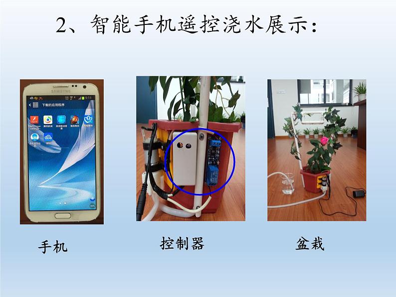 苏教版七年级生物上册 第六章 第五节  光合作用和呼吸作用原理的应用（课件）第6页