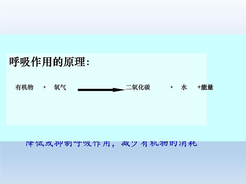 苏教版七年级生物上册 第六章 第五节  光合作用和呼吸作用原理的应用（课件）第8页