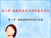 苏教版七年级生物上册 第三章 第一节植物细胞的结构和功能(7)（课件）