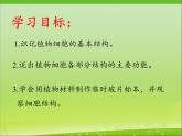 苏教版七年级生物上册 第三章 第一节植物细胞的结构和功能(7)（课件）