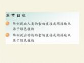 苏教版七年级生物上册 第七章 第一节 绿色植物是食物之源(1)（课件）