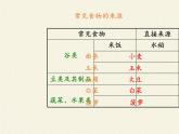苏教版七年级生物上册 第七章 第一节 绿色植物是食物之源(1)（课件）