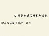 苏教版七年级生物上册 第三章 第一节 植物细胞的结构和功能(4)（课件）