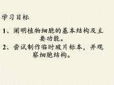 苏教版七年级生物上册 第三章 第一节 植物细胞的结构和功能(4)（课件）