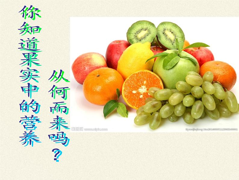 苏教版七年级生物上册 第七章 第一节 绿色植物是食物之源(2)（课件）02