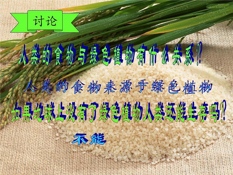 苏教版七年级生物上册 第七章 第一节 绿色植物是食物之源(2)（课件）07