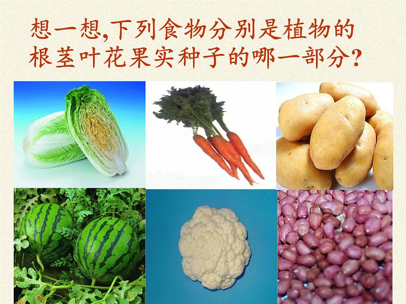 苏教版七年级生物上册 第七章 第一节 绿色植物是食物之源(2)（课件）08