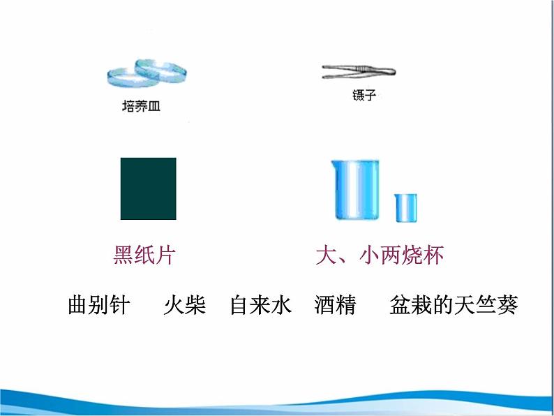 苏教版七年级生物上册 第六章 第三节  植物光合作用的实质_（课件）第5页