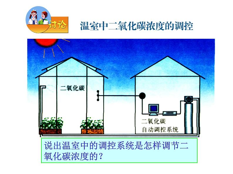 苏教版七年级生物上册 第六章 第五节  光合作用和呼吸作用原理的应用_（课件）04