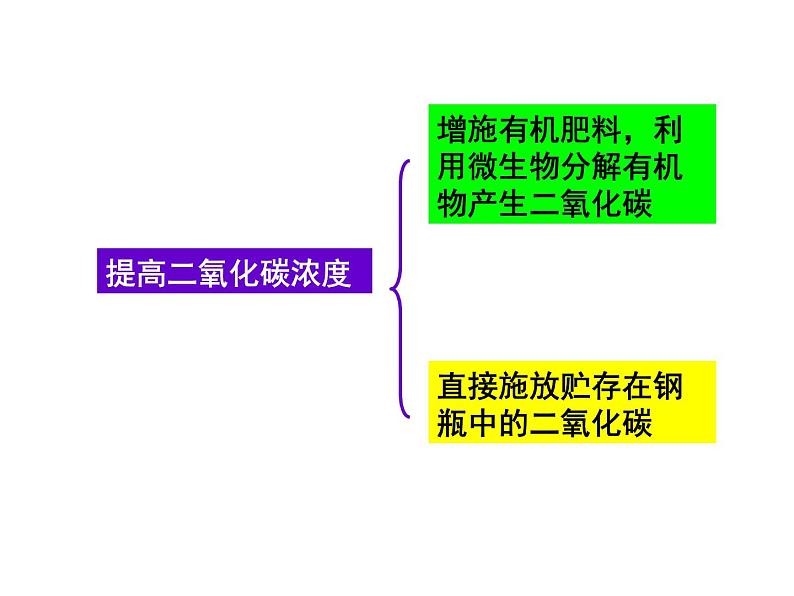 苏教版七年级生物上册 第六章 第五节  光合作用和呼吸作用原理的应用_（课件）06