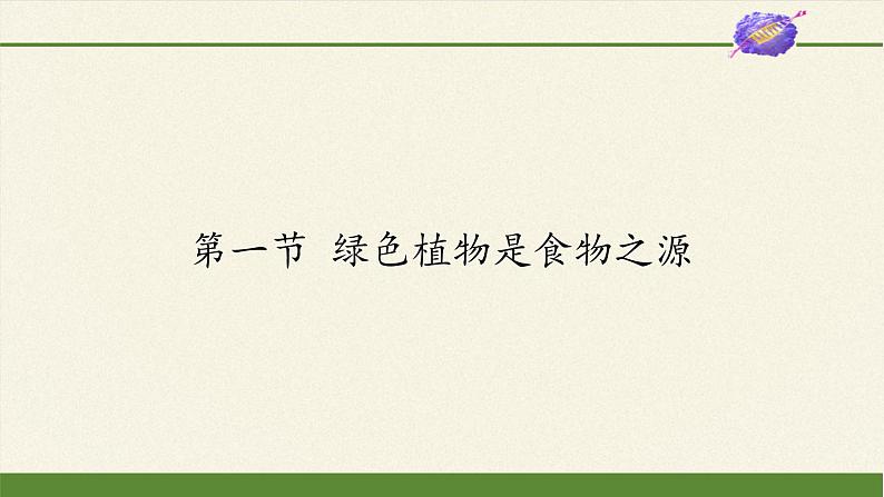 苏教版七年级生物上册 第七章 第一节  绿色植物是食物之源(3)（课件）01