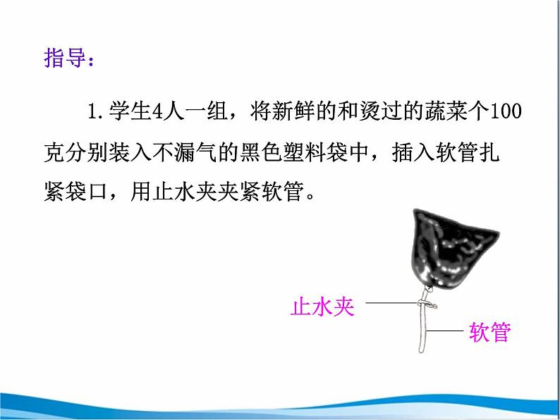 苏教版七年级生物上册 第六章 第四节  植物的呼吸作用_（课件）06