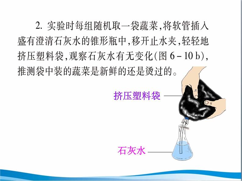 苏教版七年级生物上册 第六章 第四节  植物的呼吸作用_（课件）07