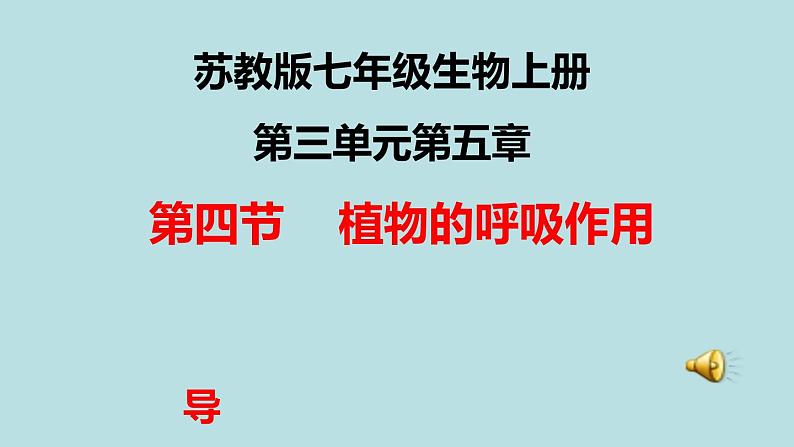 苏教版七年级生物上册 第六章 第四节  植物的呼吸作用课件（课件）01