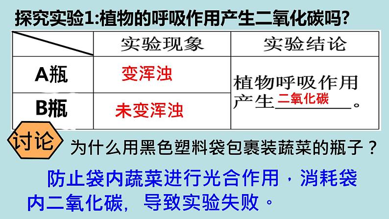 苏教版七年级生物上册 第六章 第四节  植物的呼吸作用课件（课件）04