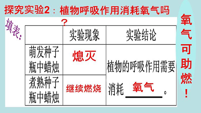 苏教版七年级生物上册 第六章 第四节  植物的呼吸作用课件（课件）05