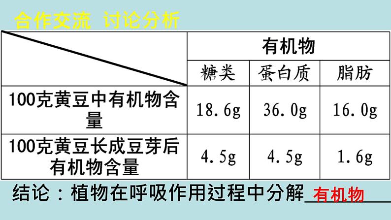 苏教版七年级生物上册 第六章 第四节  植物的呼吸作用课件（课件）07