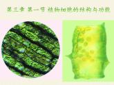 苏教版七年级生物上册 第三章 第一节 植物细胞的结构和功能(3)（课件）
