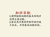 苏教版七年级生物上册 第三章 第一节 植物细胞的结构和功能(3)（课件）