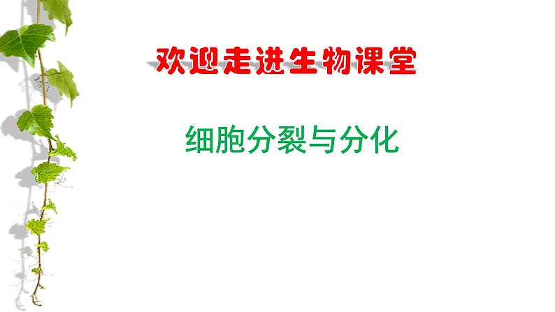 苏教版七年级生物上册 第三章 第三节 细胞的分裂与分化（邰玉韦）（课件）01