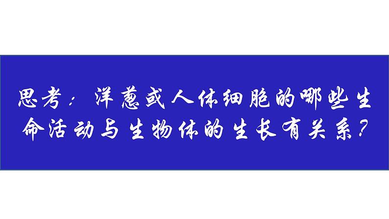 苏教版七年级生物上册 第三章 第三节 细胞的分裂与分化（邰玉韦）（课件）03