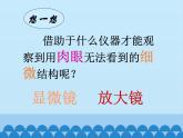 苏教版七年级生物上册 第二章 第一节  探索生命的器具_（课件）