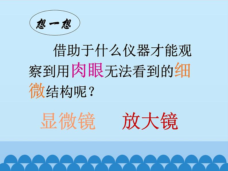 苏教版七年级生物上册 第二章 第一节  探索生命的器具_（课件）第4页