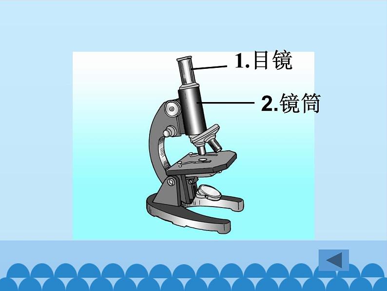 苏教版七年级生物上册 第二章 第一节  探索生命的器具_（课件）第6页