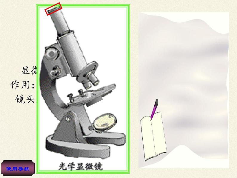 苏教版七年级生物上册 第二章 第一节  探索生命的器具(1)（课件）第8页