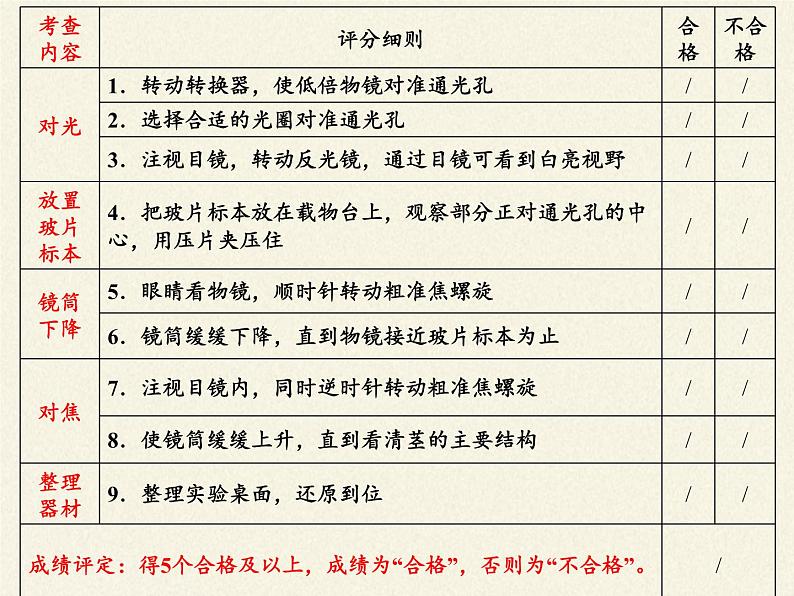 苏教版七年级生物上册 第二章 第一节  探索生命的器具(3)（课件）06