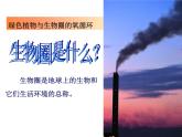 苏教版七年级生物上册 第七章 第二节 绿色植物与生物圈的物质循环_（课件）