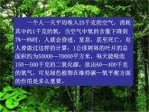 苏教版七年级生物上册 第七章 第二节 绿色植物与生物圈的物质循环_（课件）