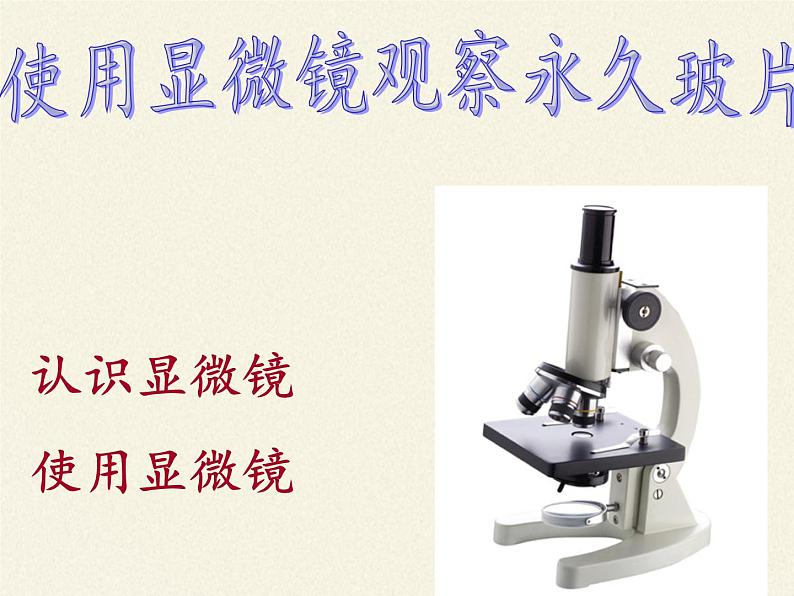 苏教版七年级生物上册 第三章 第一节植物细胞的结构和功能(10)（课件）第2页