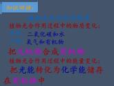 苏教版七年级生物上册 第六章 第四节  植物的呼吸作用（课件）