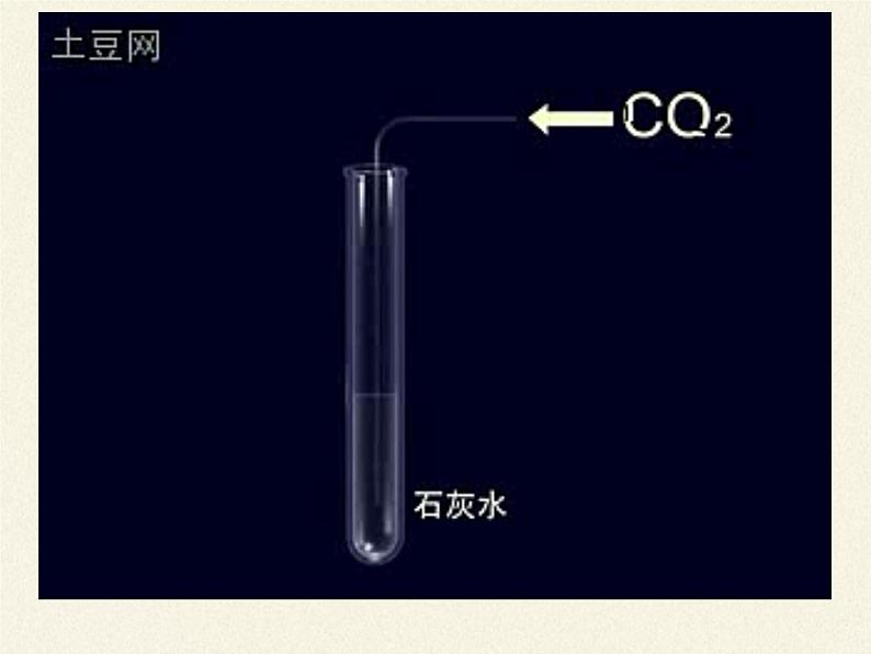 苏教版七年级生物上册 第六章 第四节  植物的呼吸作用（课件）05