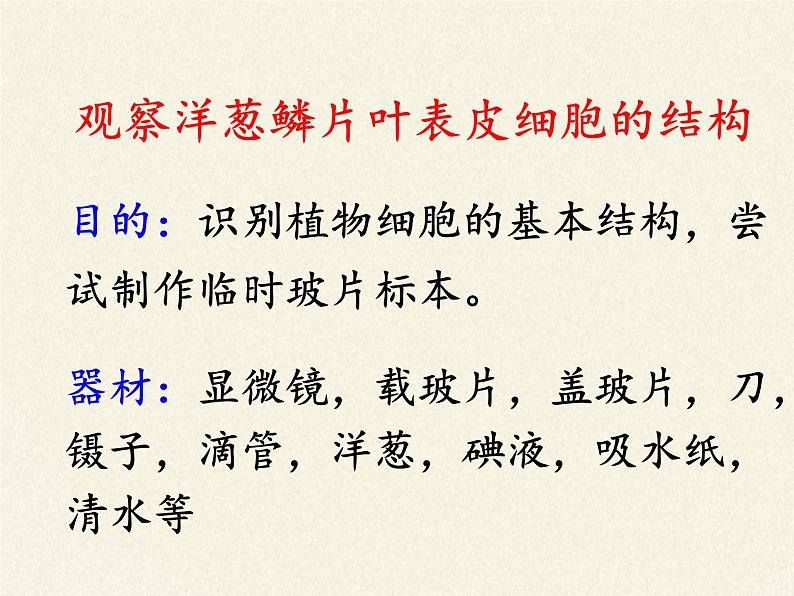 苏教版七年级生物上册 第三章 第一节植物细胞的结构和功能(9)（课件）04