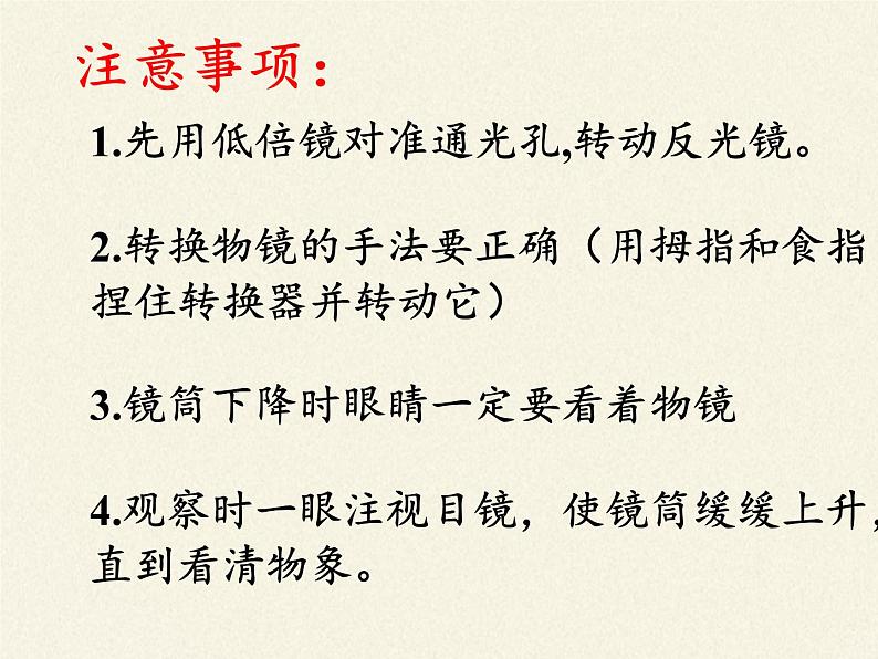 苏教版七年级生物上册 第三章 第一节植物细胞的结构和功能(9)（课件）06