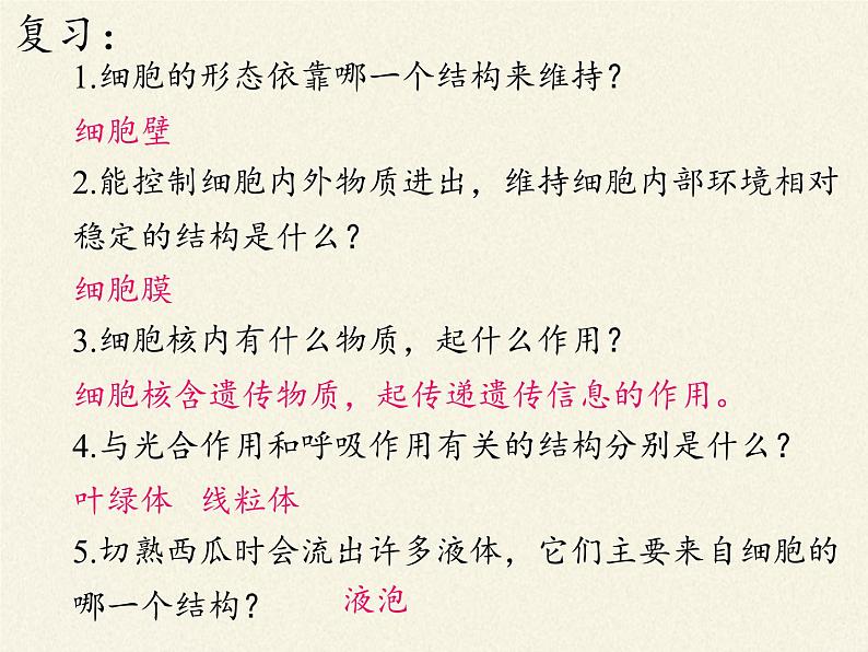 苏教版七年级生物上册 第三章 第二节 人和动物细胞的结构和功能（课件）第3页