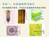 苏教版七年级生物上册 第七章 第二节 绿色植物与生物圈的物质循环（课件）