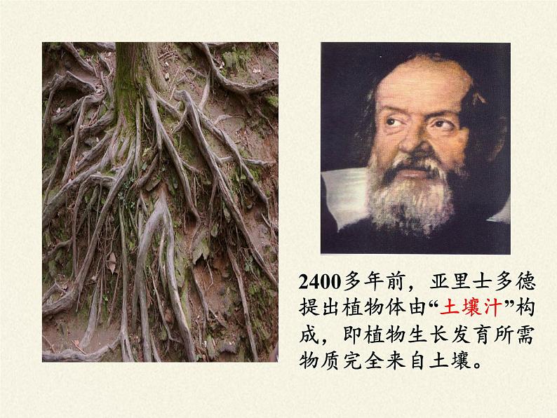 苏教版七年级生物上册 第六章 第一节  植物光合作用的发现(3)（课件）第3页