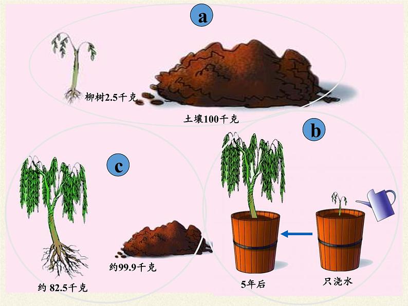 苏教版七年级生物上册 第六章 第一节  植物光合作用的发现(3)（课件）第6页