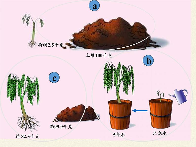 苏教版七年级生物上册 第六章 第一节  植物光合作用的发现(3)（课件）第8页